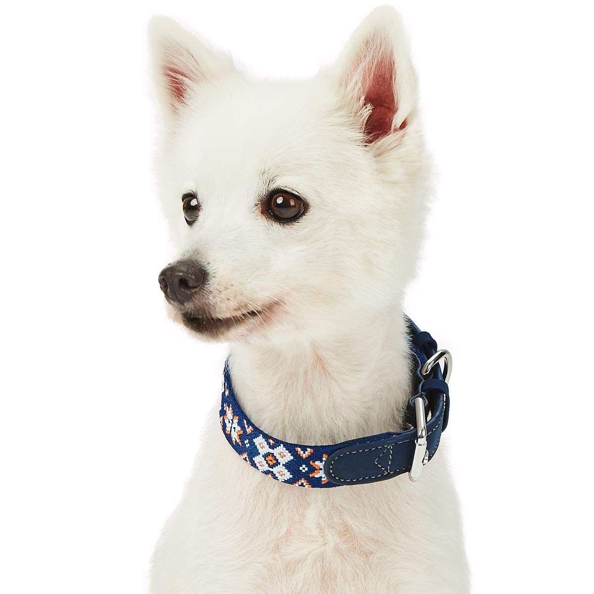 Blueberry Pet 3 Patterns Southwestern Modern Tribal Print Genuine Leather & Polyester Fabric Combo Dog Collar With Metal Buckle 