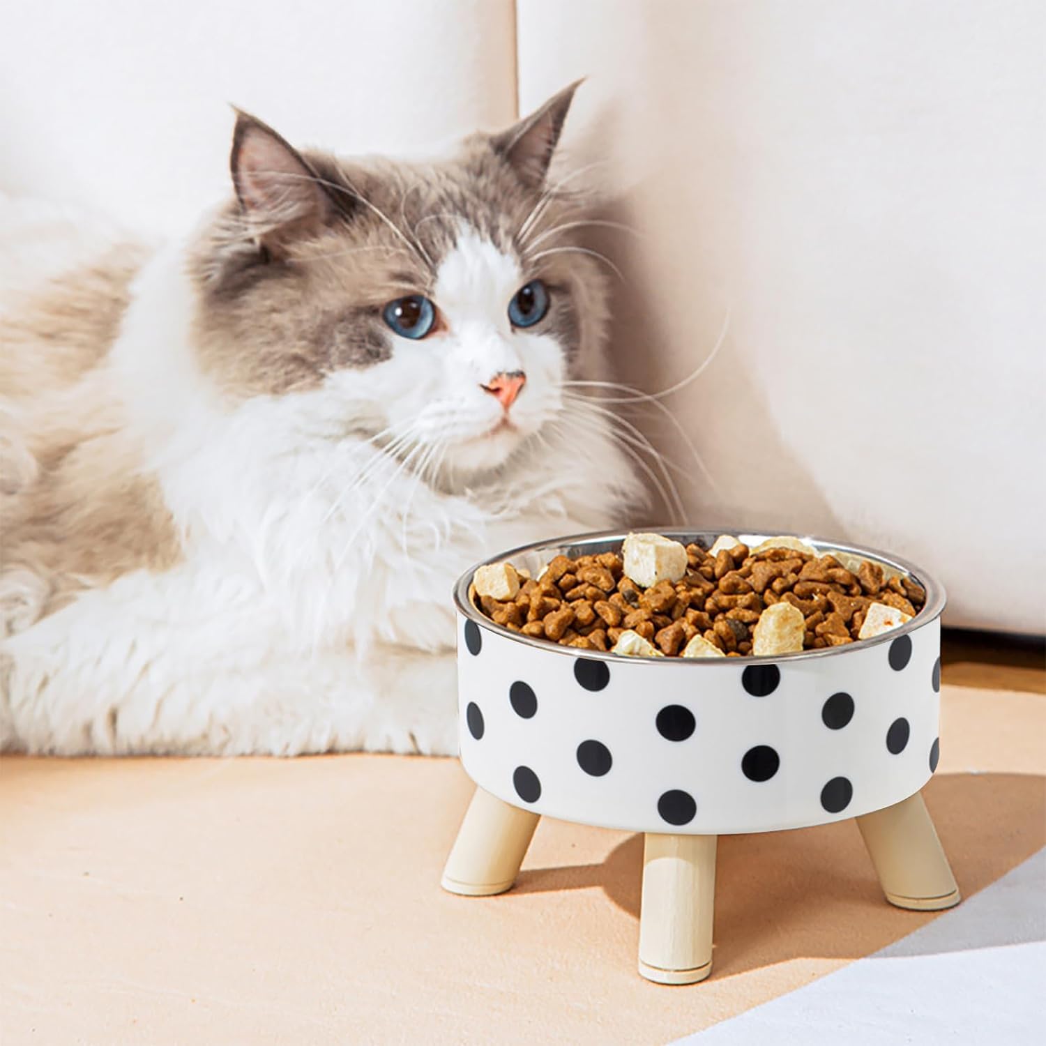 Jumix Raised Cat Food And Water Bowl Set, Tilted Elevated Cat Food Bowls No Spill, Ss Cat Food Feeder Bowl Collection, Pet Bowl 