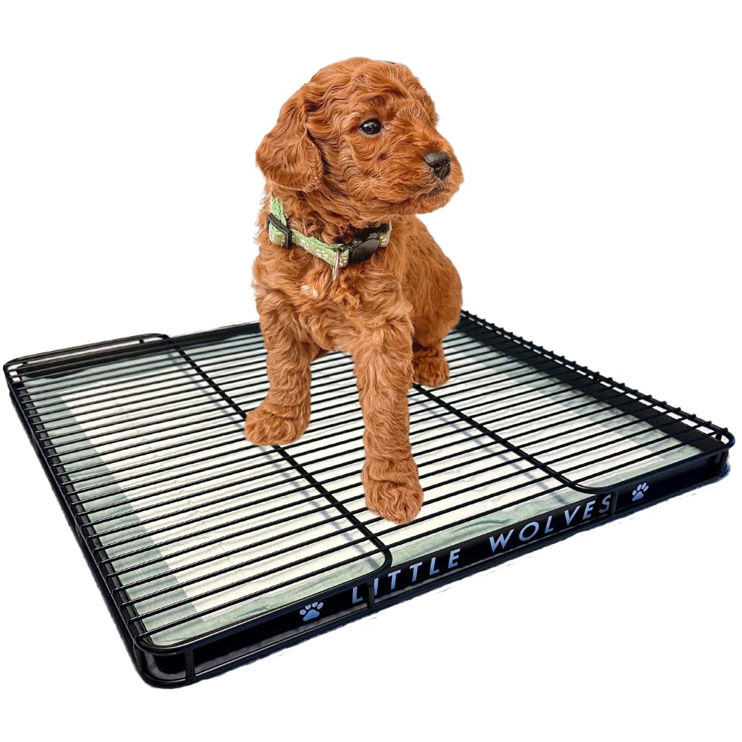 Little Wolves Puppy Potty Tray Essentials: 22X22 Reusable Heavy-Duty Tray W/Dog Pee Pads, Housebreaking Supplies, Pet Products &