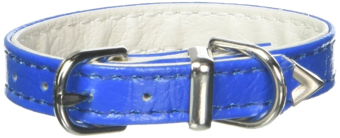 Mirage Pet Products 38-Inch Width Plain Collar For Pets 8-Inch Blue