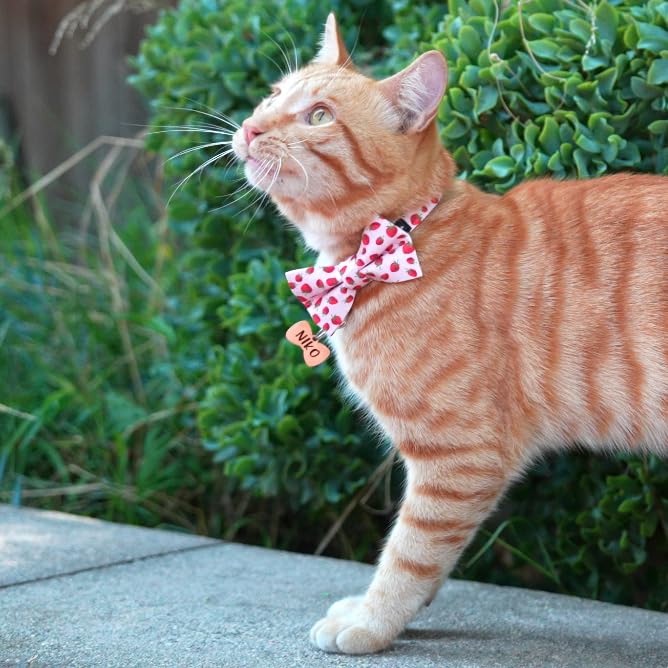 Ultra Joys Breakaway Cat Collar Kitten Collar With Bell, Bowtie & Bandana - Strawberry Small
