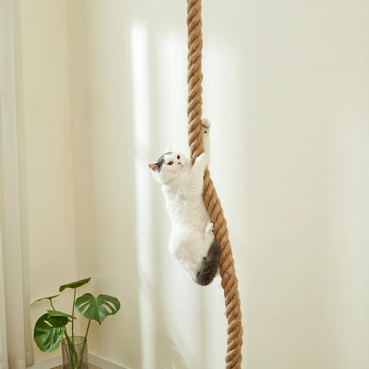 Shengocase 1.9'' X 8.9Ft Cat Climbing Jute Rope For Ceiling With Hook, Wall Mounted Furniture For Indoor And Outdoor Cats (8.9 F