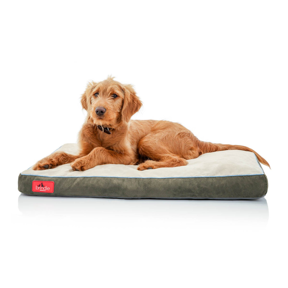 Brindle Khaki Shredded Memory Foam Pet Bed - Pet Essentials - Orthopedic Design - Pet Crate Compatible - Machine Washable Cover 