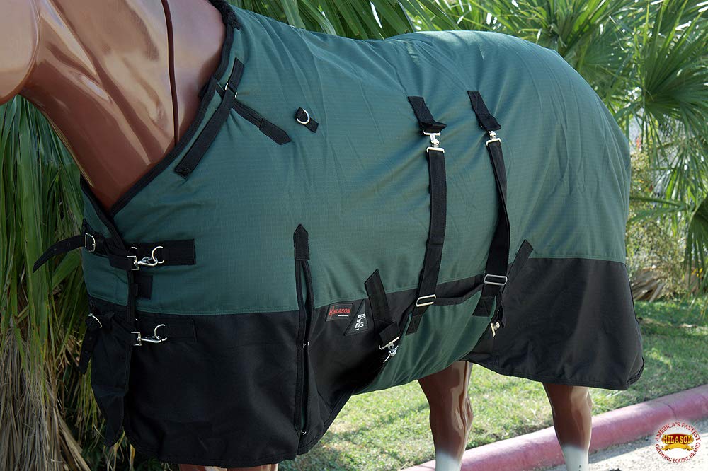 HILASON 1200D Winter Waterproof Poly Horse Turnout Blanket Belly Wrap Green | 82 in