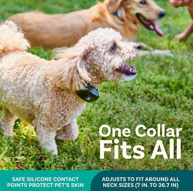 Petcove Wireless Dog Fence & Remote Training Collar, 2.4Ghz Non-Gps Fence For Dogs Wireless, 2 In 1 Wireless Dog Fence System, B