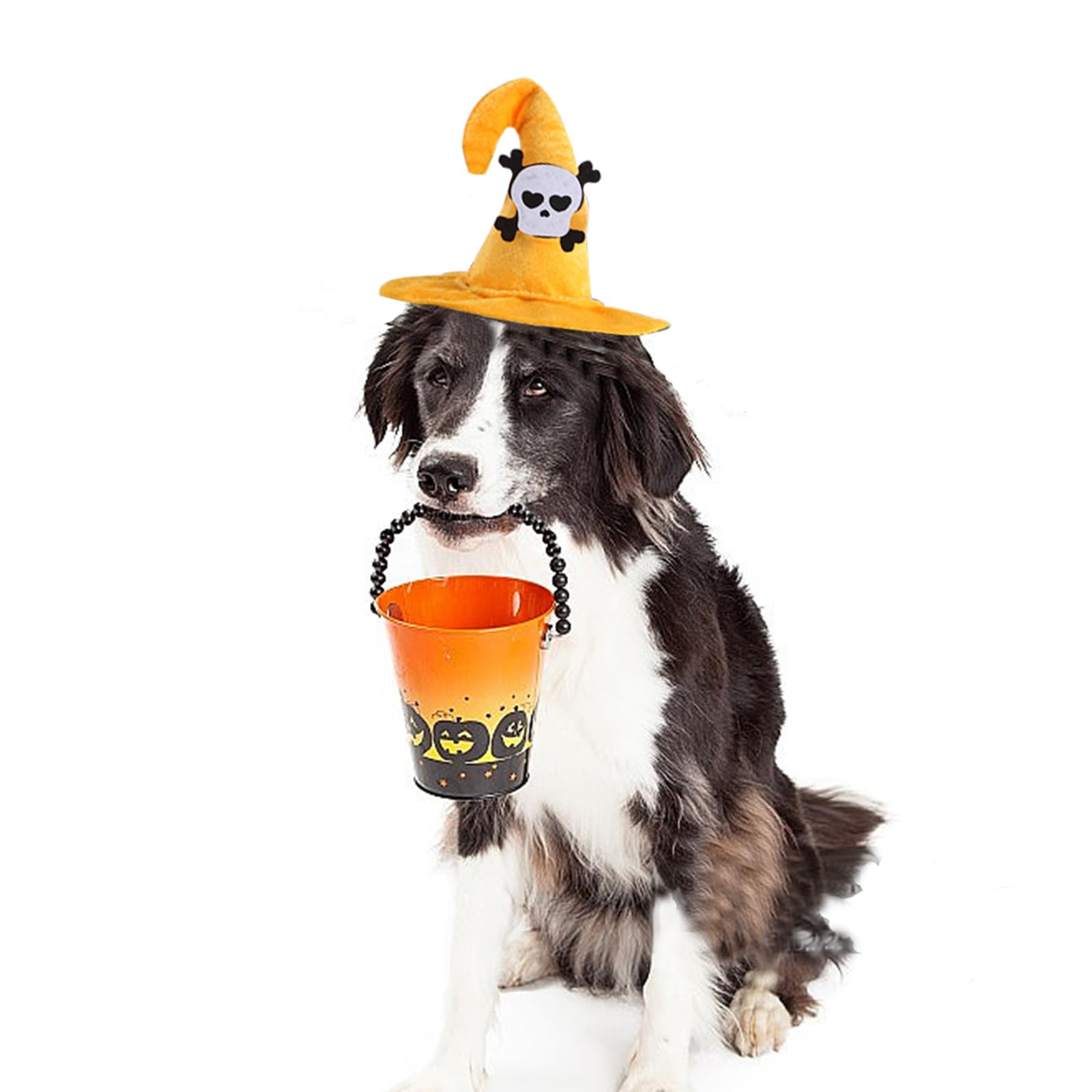 Bobo Rainbow 1Pc Dog Halloween Day Costume - Dog Cat Halloween Hat Pet Adjustable Headpiece Hat Pet Skull Costume Soft Pet Hat C