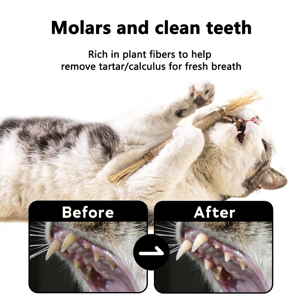 Hzongmingzt 6 Pcs Natural Silvervine Sticks Catnip Toys - Cat Toys Indoor Cats Interactive Matatabi Dental Care Teething Chew To