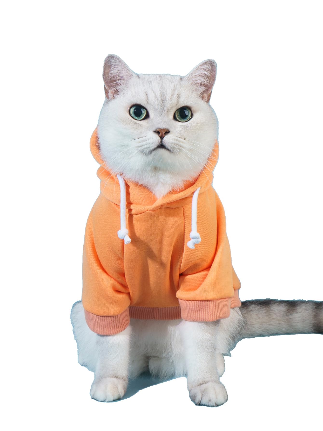 Qwinee Basic Dog Hoodie, Dog Warm Jacket, Cat Apparel, Dog Shirt, Dog Clothes For Puppy Kitten Small Medium Dogs Cats Orange Xs