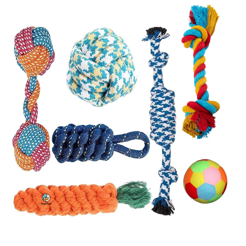 Dog Trust Dog Rope Toys + Tug Of War Pet Combo + Dog Chew Rope Set + Toys For Puppy + Pet Chew Hard Spike Bone + Cotton Rope + P