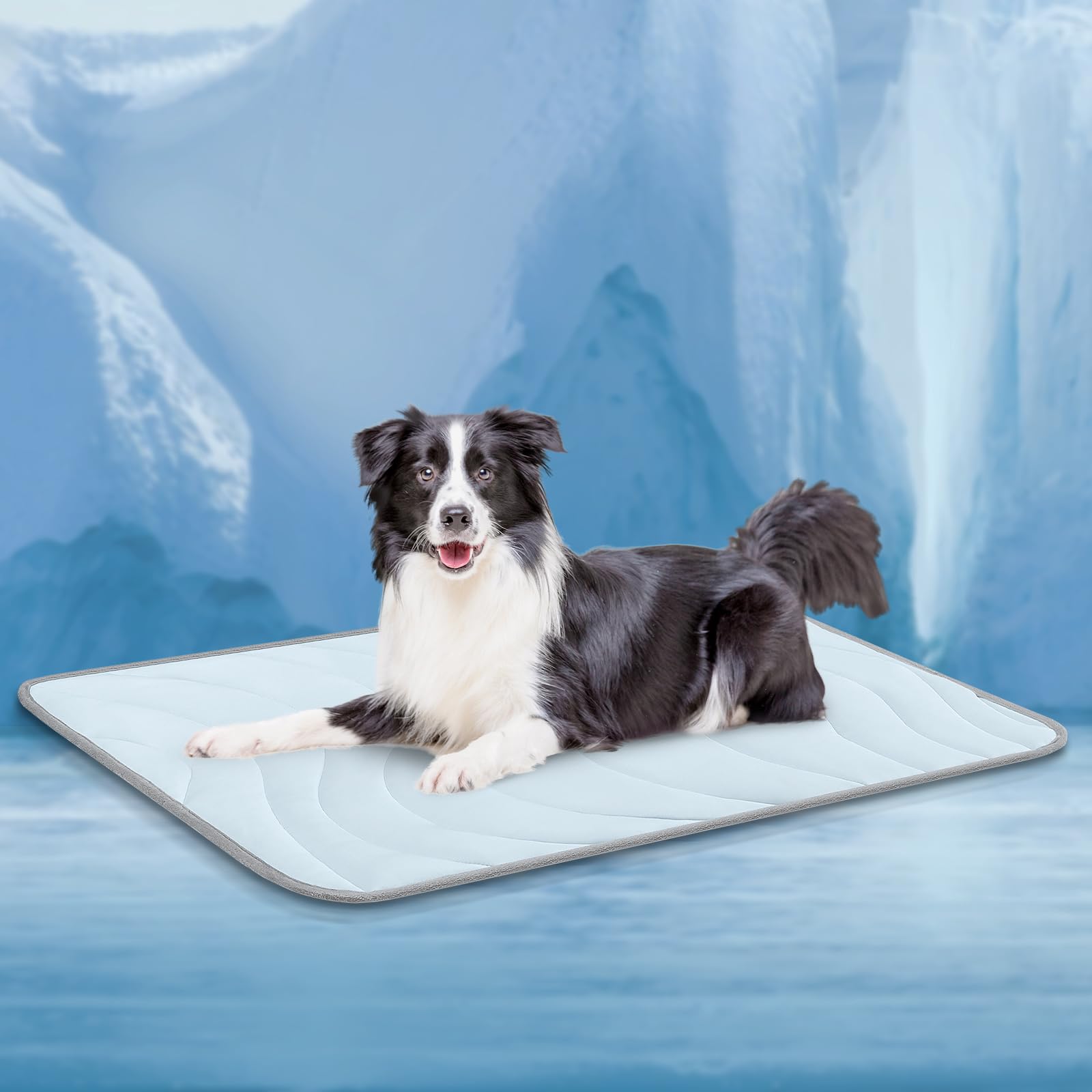 Cozyide Dog Cooling Mat, Medium Cooling Mat For Dogs, Reversible Pad For Dog, 36'' L X 23'' W,Ocean Blue