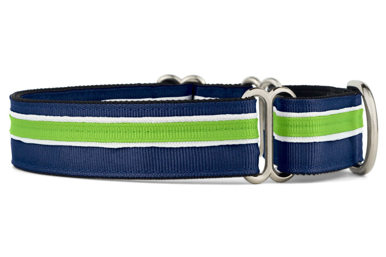 If It Barks 1'' Martingale Collar For Dogs, Adjustable Nylon, Usa Made, Medium, Finley
