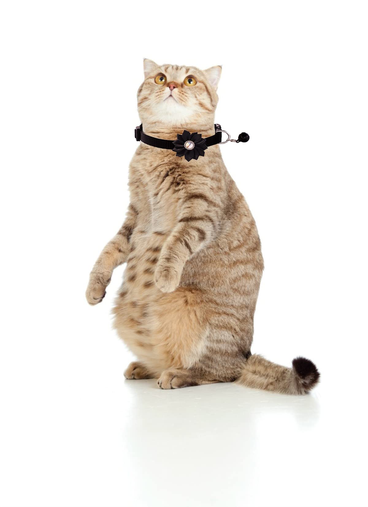 Flymind 13Pcs Puppy Collars, Cat Id Collars With Bell Adjustable 19-32Cm, Flower Soft Nylon Adjustable Breakaway Identification Collars For Puppy Kittens
