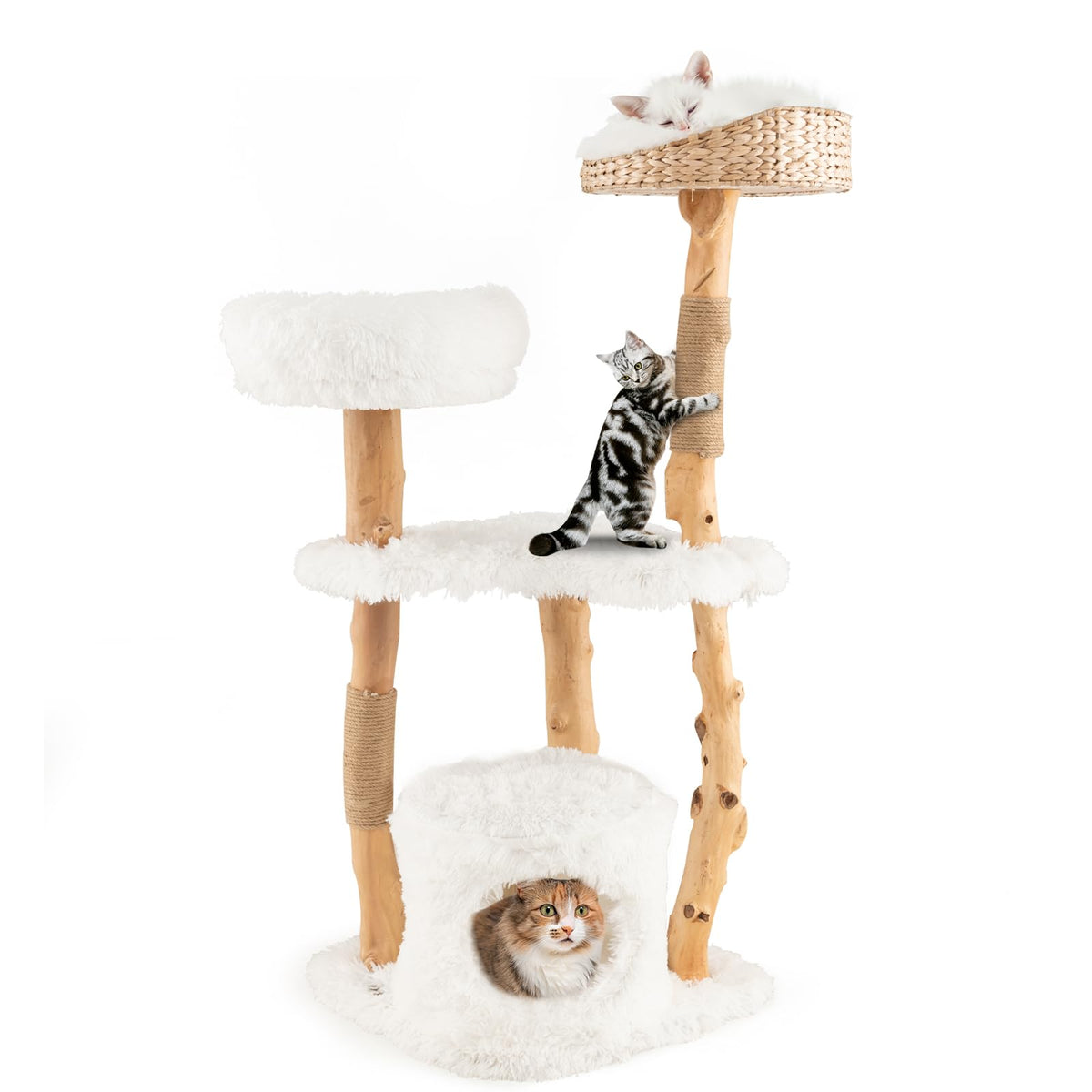 Petsite 49 Inch Cat Tree For Indoor Cats, Solid Wood Modern Multi-Level Cat Tower With Scratching Posts, Top Cattail Basket Cat Bed, Side Perch, Large Platform, And Cat Condo, Cute White Cat Tree