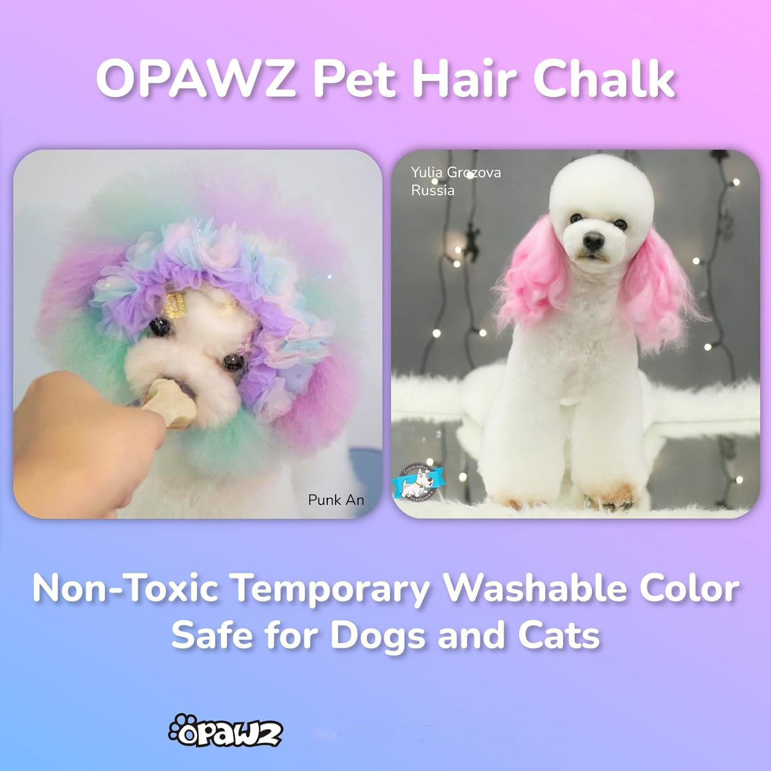 Opawz Pet Hair Chalk, Temporary Dog Hair Dye, Washable Pet Hair Dye, Pet Safe Dye For Creative Grooming (White)