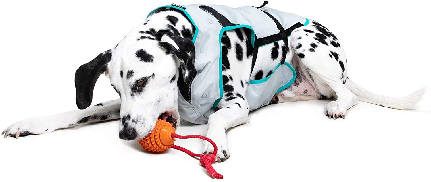 Suitical Dry Cooling Vest For Dogs | Canine Cooling Vest For Hot Weather | Dog Cool Down Jacket | Machine Washable | S | Neck To Tail 14”- 20” | Chest 22-28” Around | Neck Circumference 18” | Silver
