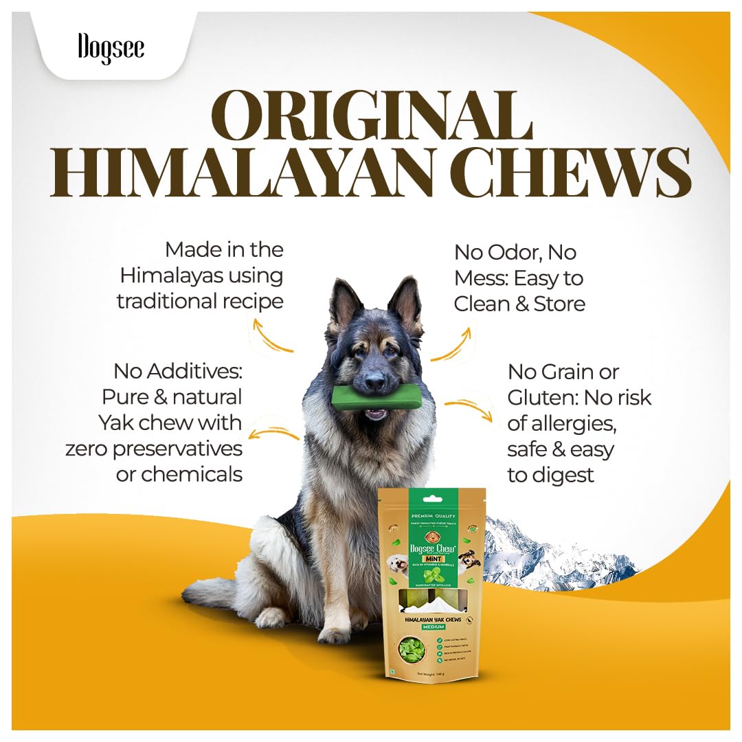 Dogsee Mint Flavor Himalayan Yak Cheese Dental Chews for Dogs 1lb (Medium - 6 Chews) | Aid Digestion | Made in Himalayan Regions