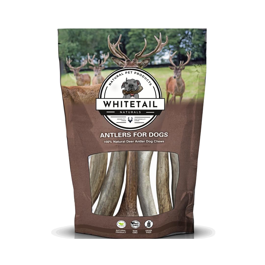 WhiteTail Naturals - Deer Antlers for Extra Small Dogs (12 Pack) Natural Dog Antler Chews for Puppies & Small Aggressive Chewers