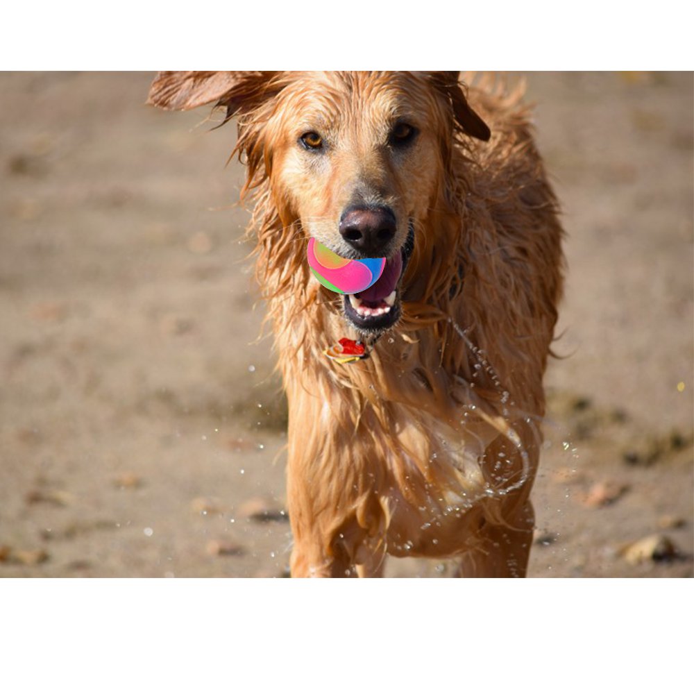 Fineinno 4 Pcs Light Up Dog Balls Flashing Elastic Ball Glow In The Dark Interactive Pet Toys For Puppy, Cats, Dogs