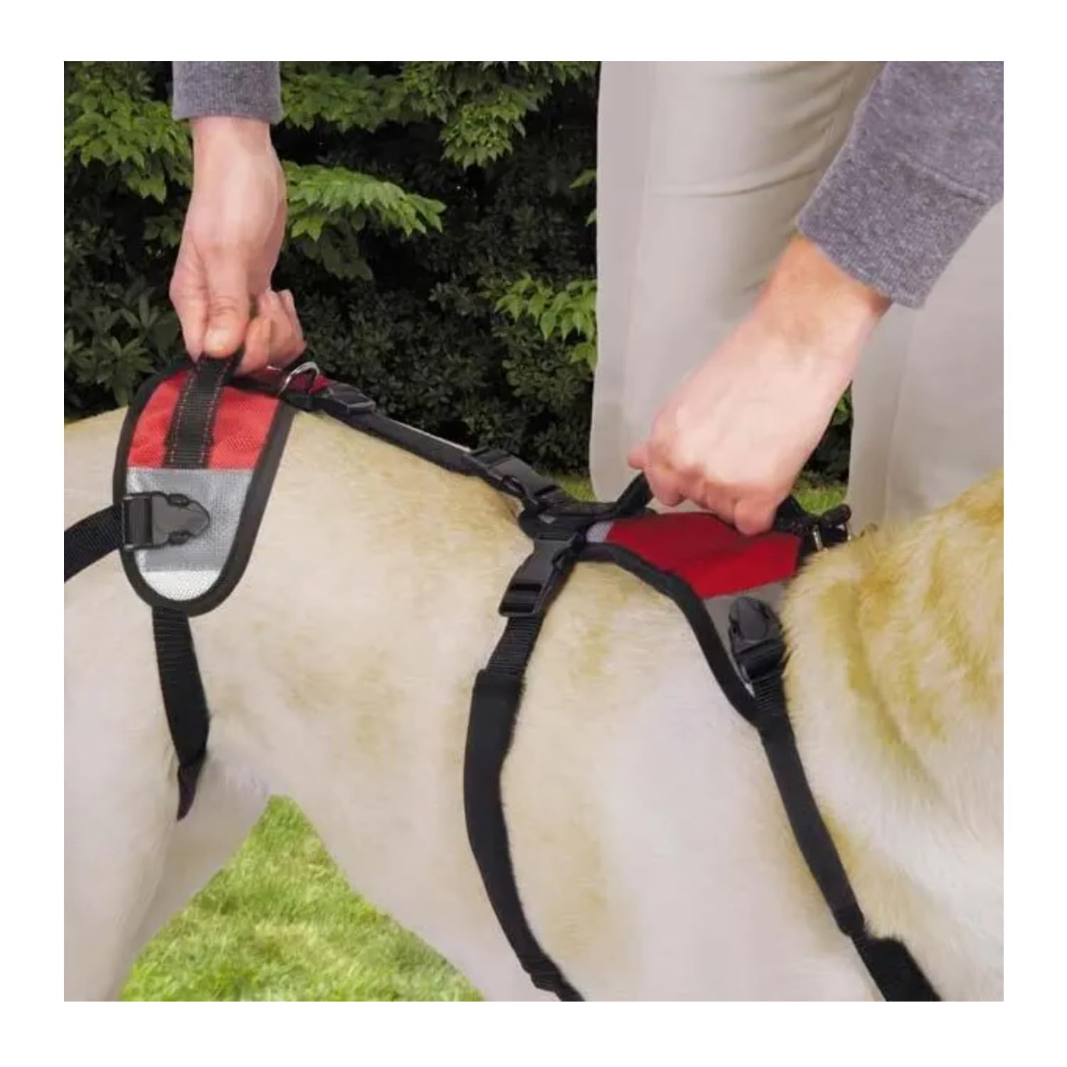Total Pet Health Lift And Go Dog Lead, Large, Red