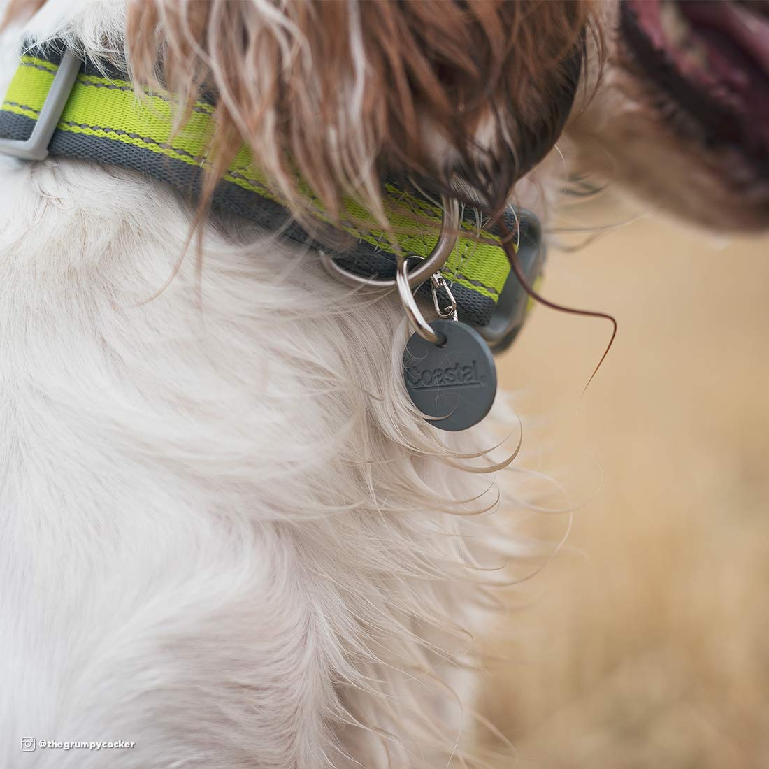 Ez Change Dog I.D. Clip With Silencer