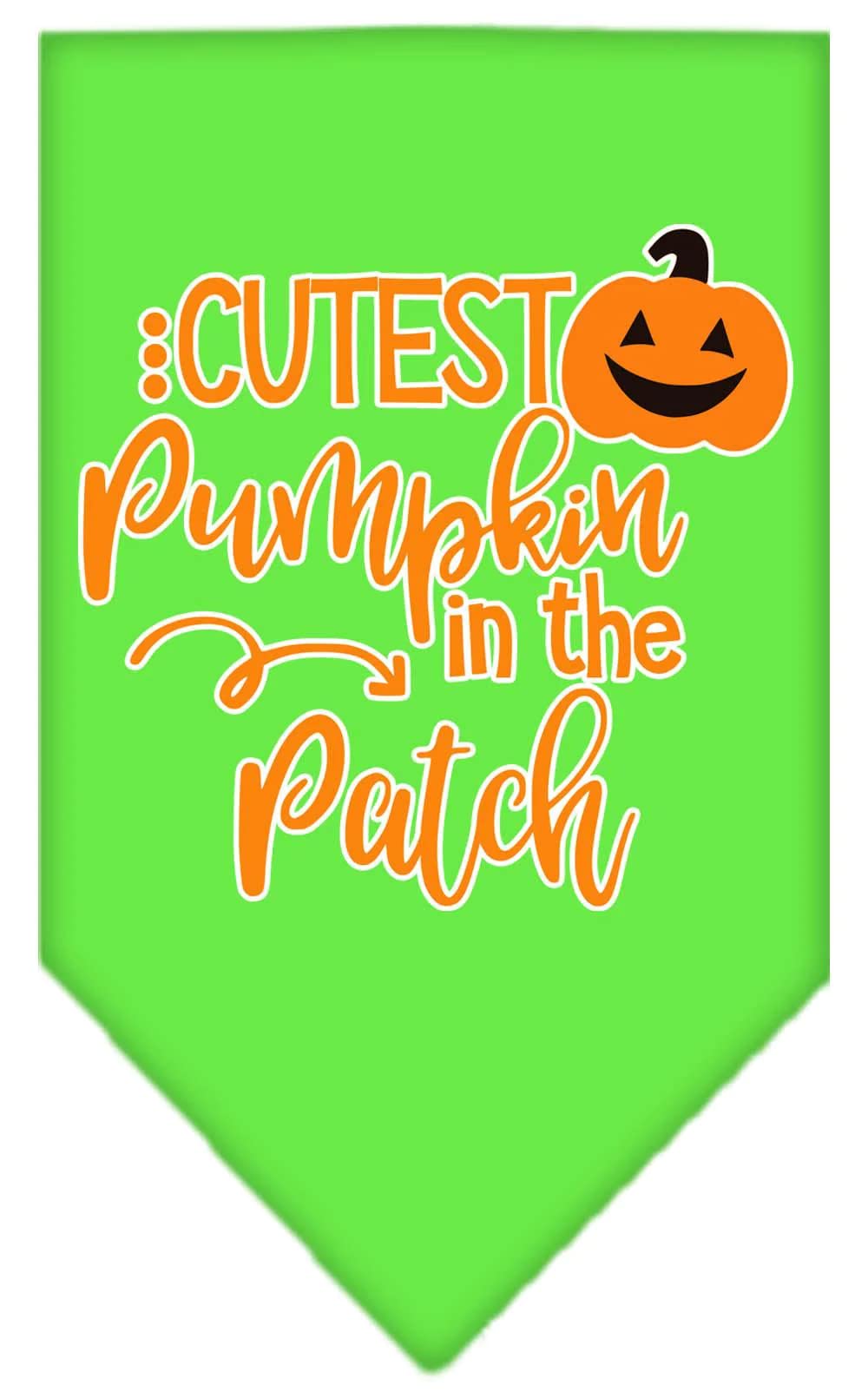 Halloween Pet and Dog Bandana Screen Printed, "Cutest Pumpkin In The Patch" Turquoise Large
