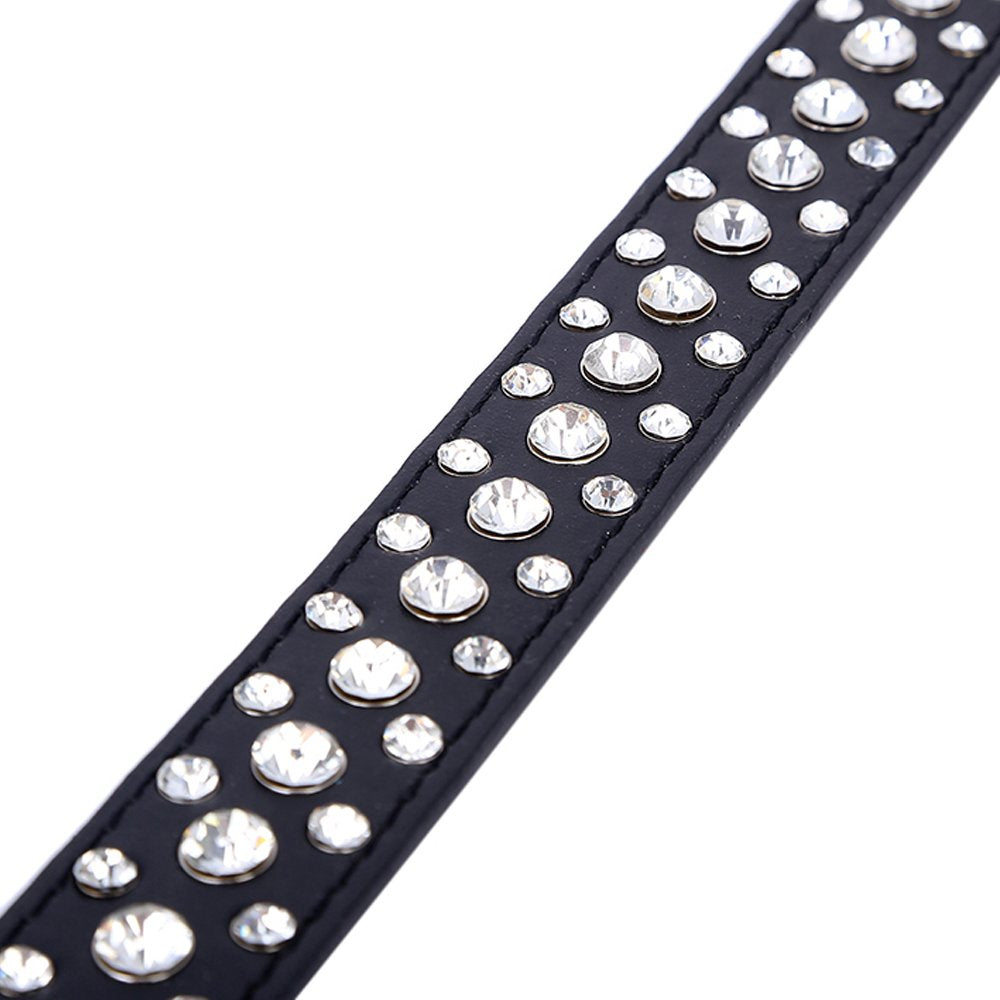 Dogs Kingdom 10''-24'' Length Personalized Rhinestone Leather Bling Crystal Pet Dog Cat Collars For Small Medium Breeds Black Xx