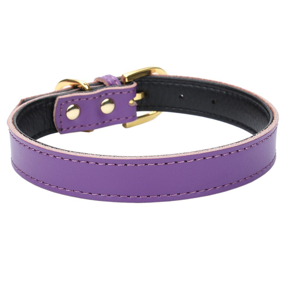 Aolove Basic Classic Padded Leather Pet Collars For Cats Puppy Small Medium Dogs (Large (Neck 14.5''-18.5''), Purple)