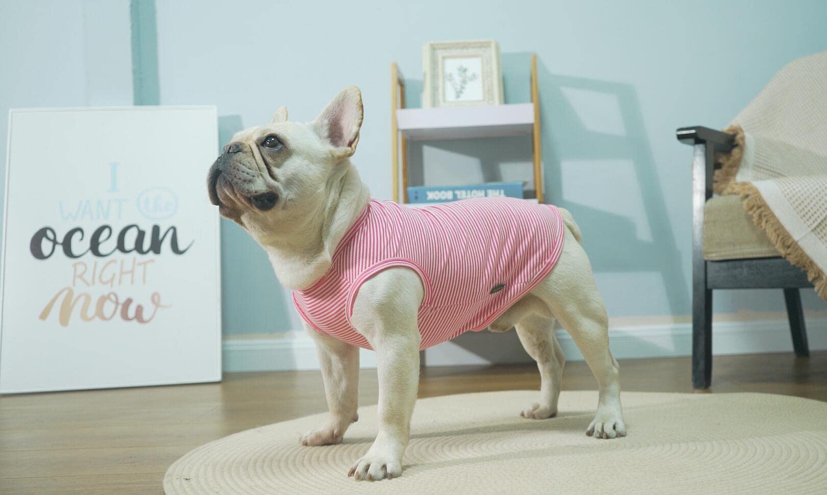 Sychien Dog Shirt,Combed Cotton T-Shirts,Soft Cool Boy Girl Tee For Large Dogs Bulldog,Pink Rose Striped L