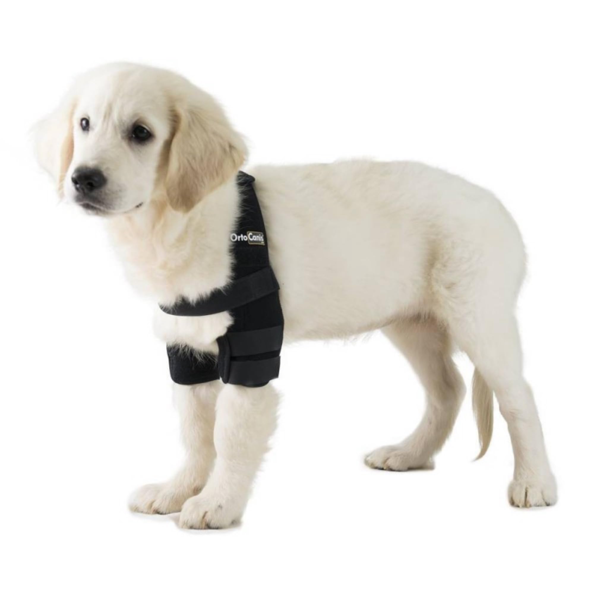 Ortocanis - Elbow Orthosis for Dogs with Elbow Arthritis. Hygromas or Shoulder Dislocation. Size M
