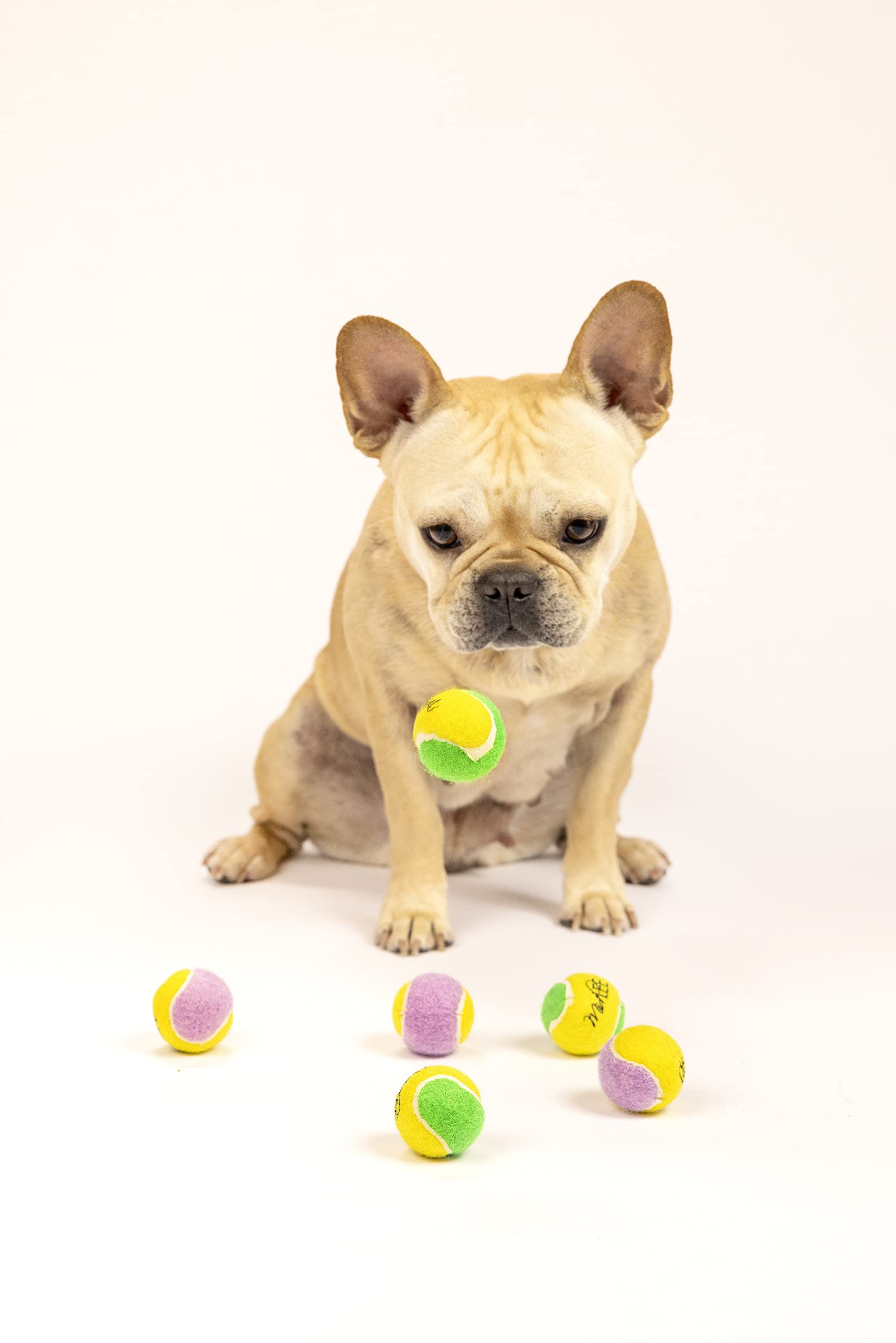 Midlee Small Dog Tennis Balls- Green/Yellow- Set Of 12