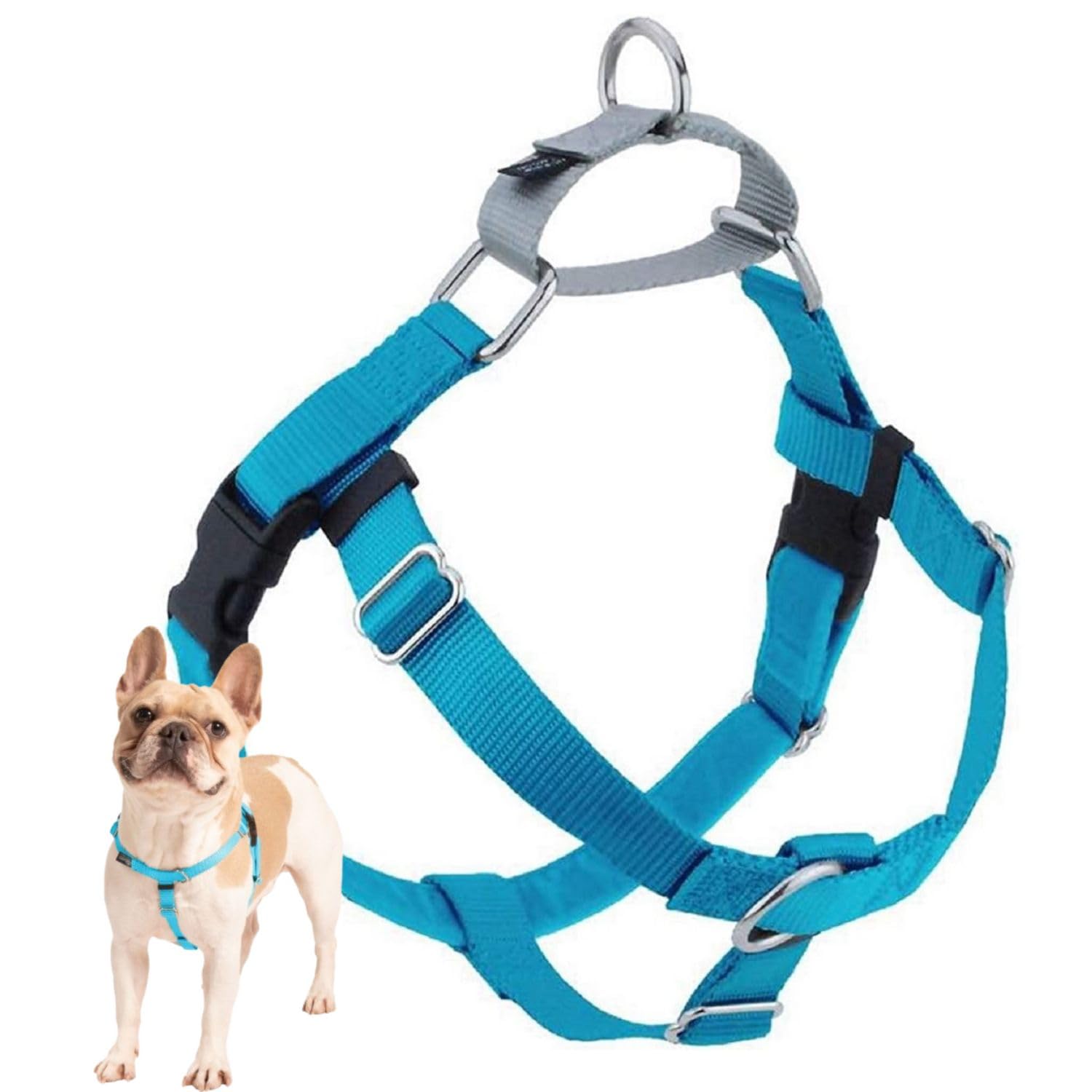 2 Hounds Design Freedom No Pull Dog Harness, Adjustable Harness, Easy Walking & Comfortable Control, Fits Small, Medium & Large Dogs, Solid Colors, Made In Usa, 5/8' Md, Turquoise