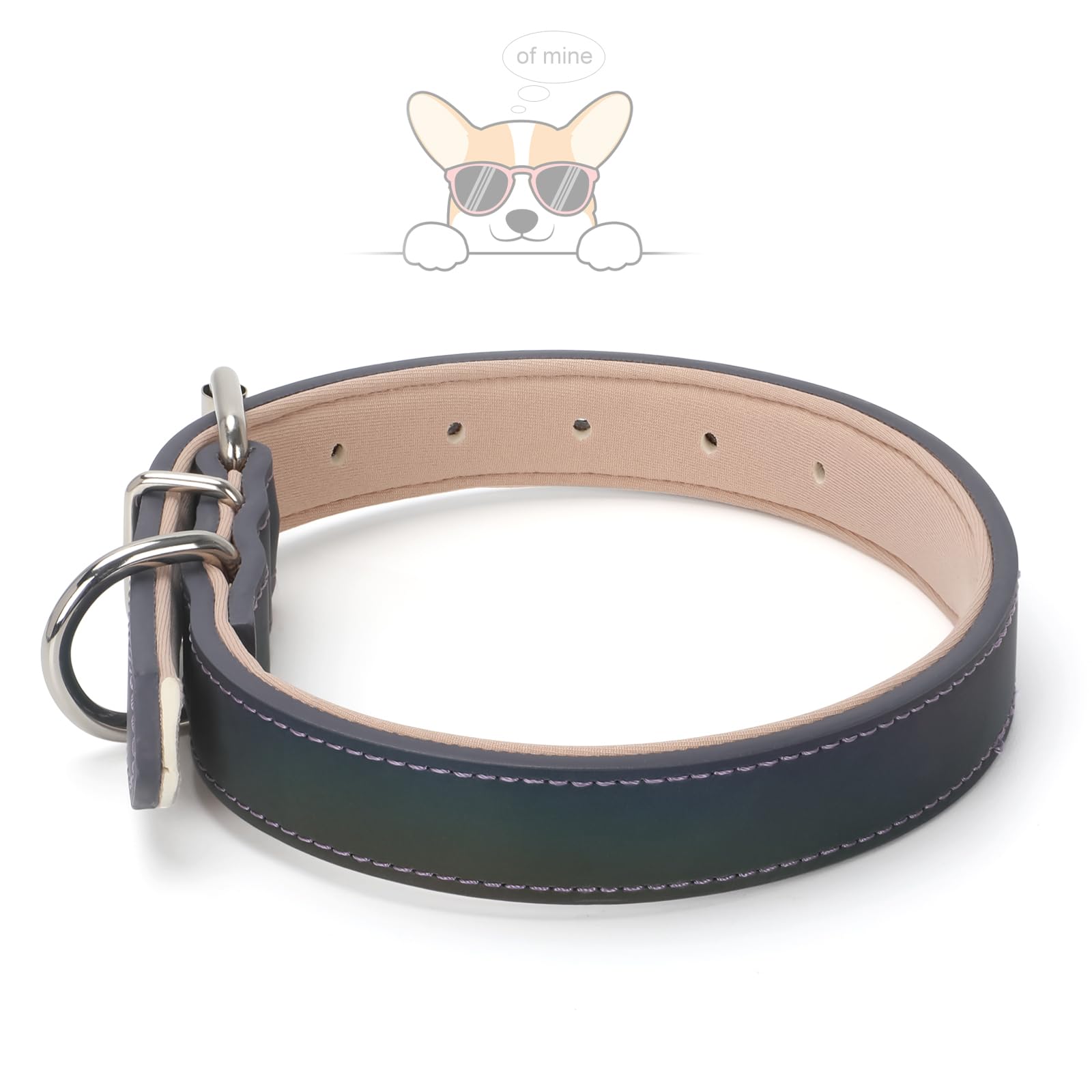 Whippy Leather Dog Collar For Medium Large Dog Adjustable Soft Leather Padded Puppy Collar With Alloy Buckle Heavy Duty Waterpro