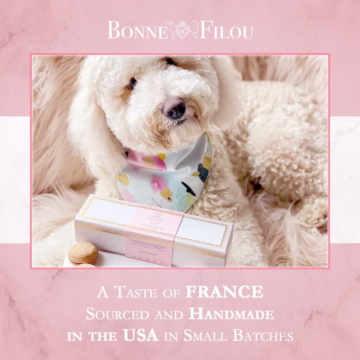 Bonne et Filou Dog Treats Strawberry Cupcakes, Dog Birthday Gift for Medium to Large Breed - Gourmet Macaron Cakes, Healthy & De