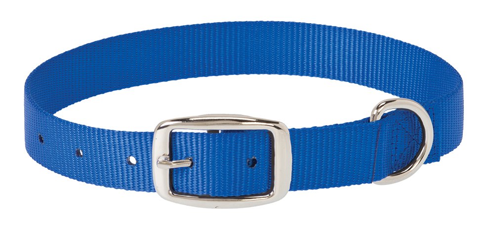 Weaver Leather Prism Choice Collar, 1 X 25-Inch, Blue