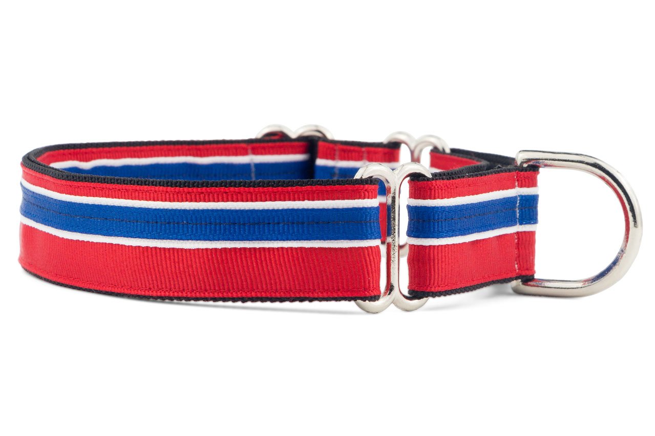 If It Barks 1'' Martingale Collar For Dogs, Adjustable Nylon, Usa Made, Large, Patriotic