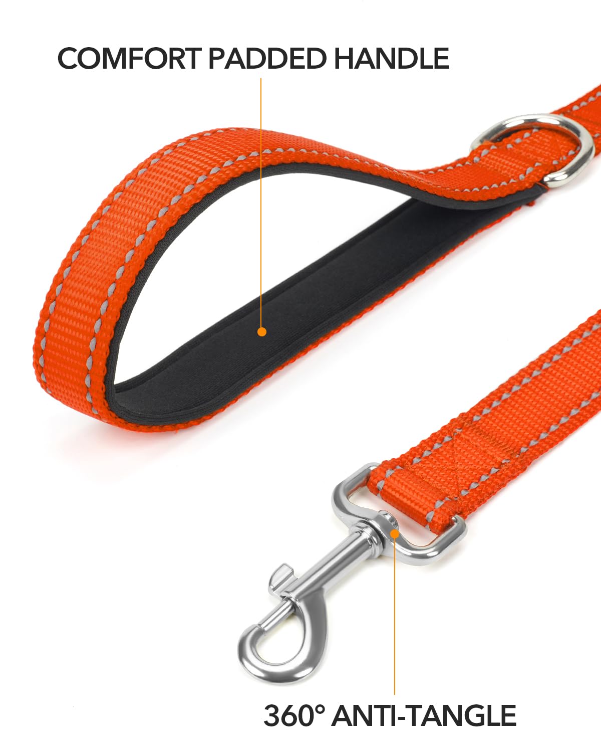 Taglory Dog Leash For Small Dogs, Double-Sided Reflective Leash With Soft Neoprene Padded Handle, 3/4 Inch By 5 Ft, Fit Small Me