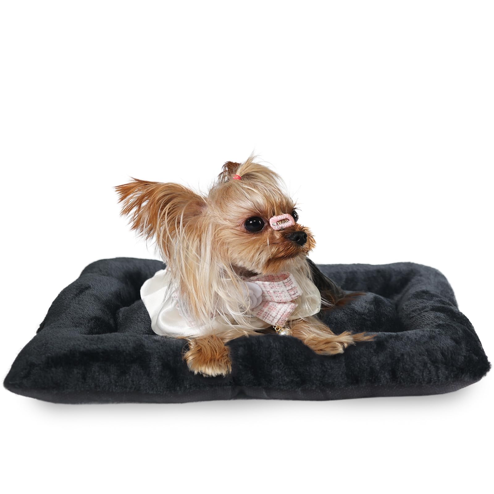 Tiny Dog Bed 18 X 12 For Extra Small Dogs And Cats Fit Crate Or Cage 18 Inch,Ultra Soft Cat Warmer Mat For Feral And Indoor Cats