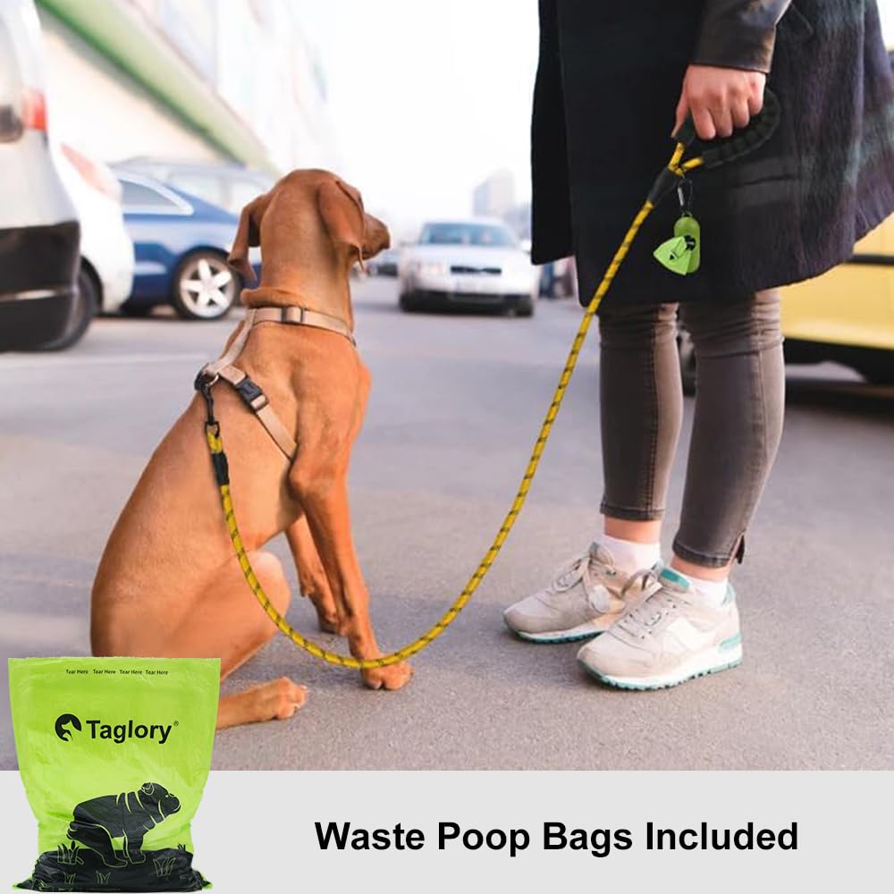 Taglory Rope Dog Leash 4 Ft With Comfortable Padded Handle, Highly Reflective Threads Leash For Small Dogs, 3/8 Inch, Yellow