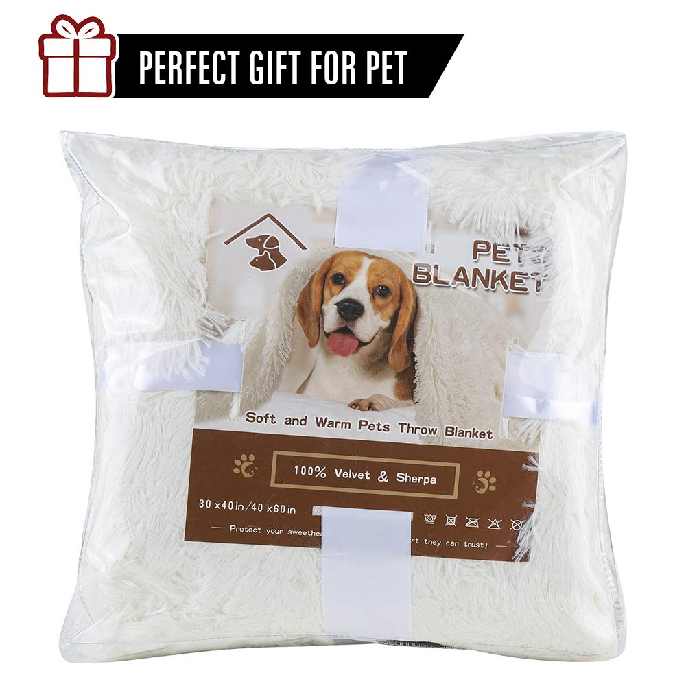 Lochas Luxury Fluffy Dog Blanket, Extra Soft And Warm Sherpa Fleece Pet Blankets For Dogs Cats, Plush Furry Faux Fur Puppy Throw Cover, 40''X60'' Cream White