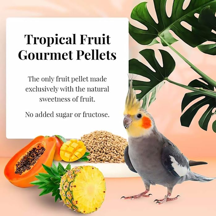 LAFEBERS Tropical Fruit Gourmet Pellets Pet Bird Food, No Added Sugar, Made with Non-GMO and Human-Grade Ingredients, for Cocka