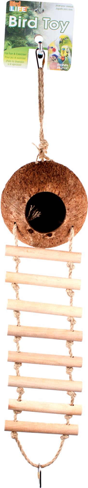 Bird Life Hanging Coconut Hide With Ladder - Perch Toy For Birds - Parrots, Parakeet, Conures, Cockatiel