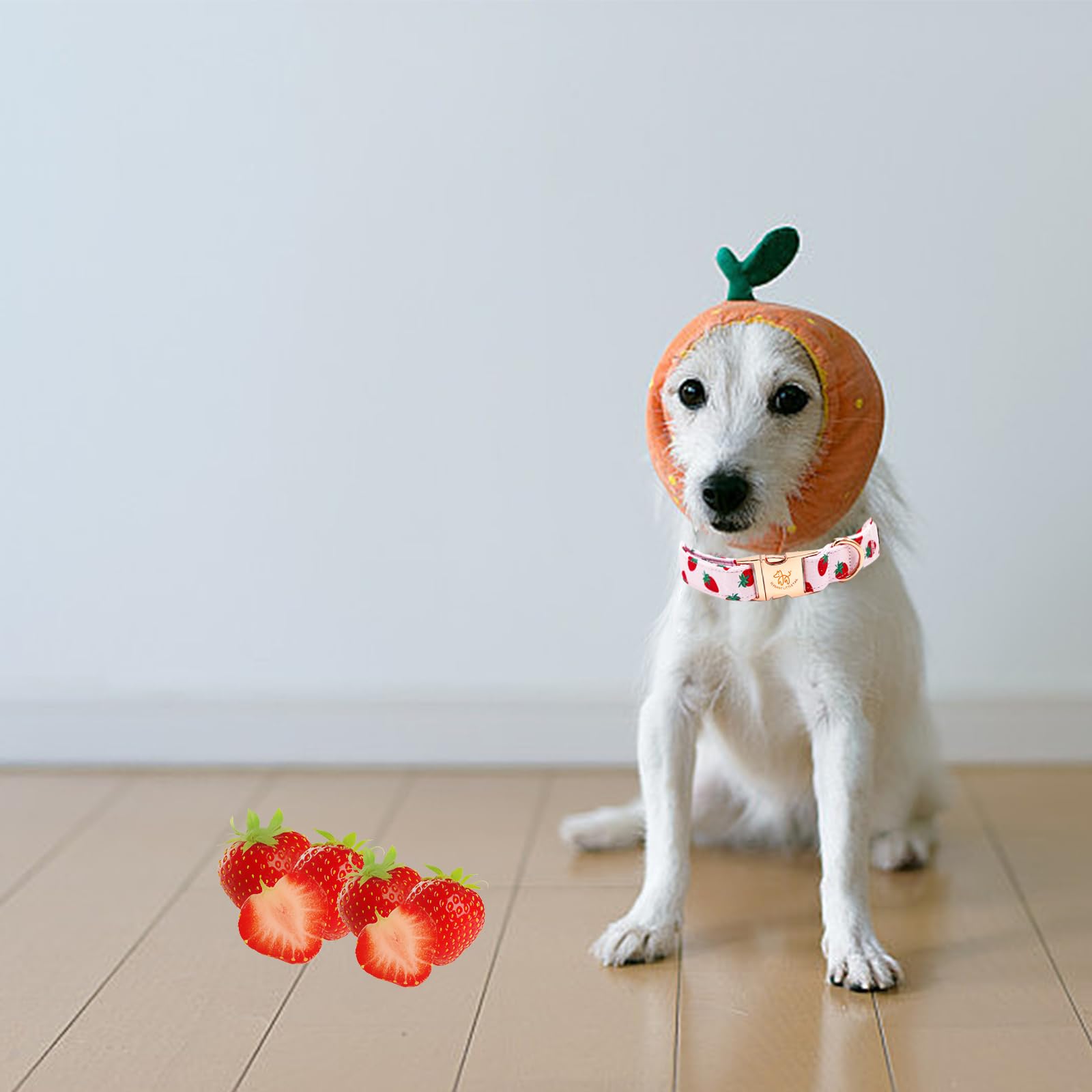 Elegant Strawberries Print Summer Dog Collar - Cotton, Durable, Metal Buckle For X-Small Dogs