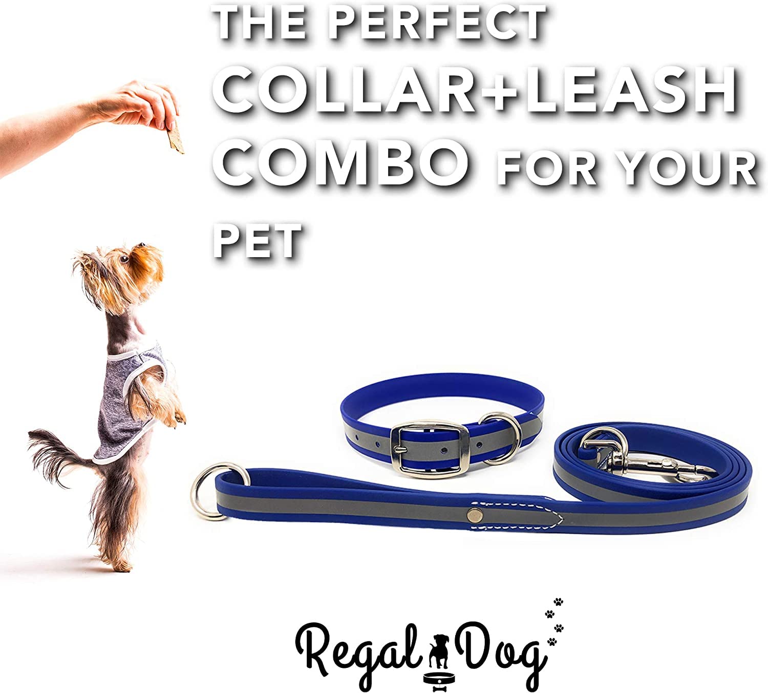 Regal Dog Products Small Blue Green Reflective Dog Collar And Leash Set - Waterproof Biothane Dog Collar With Heavy Duty Double