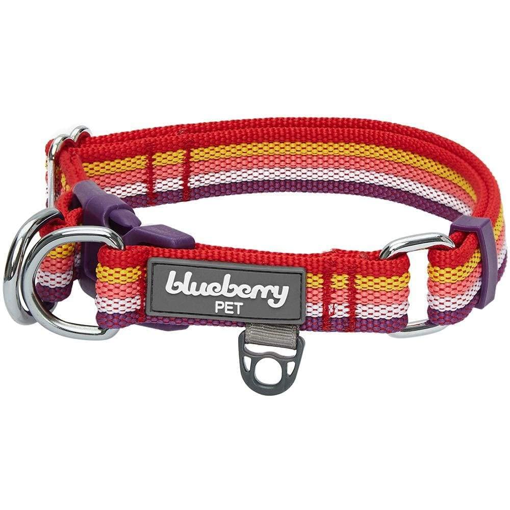Blueberry Pet Dual D-Ring Safety Dog Collar | Adjustable Nylon Collar with Multicolor Stripes in Mixed Tone Rainbow Color| Durab