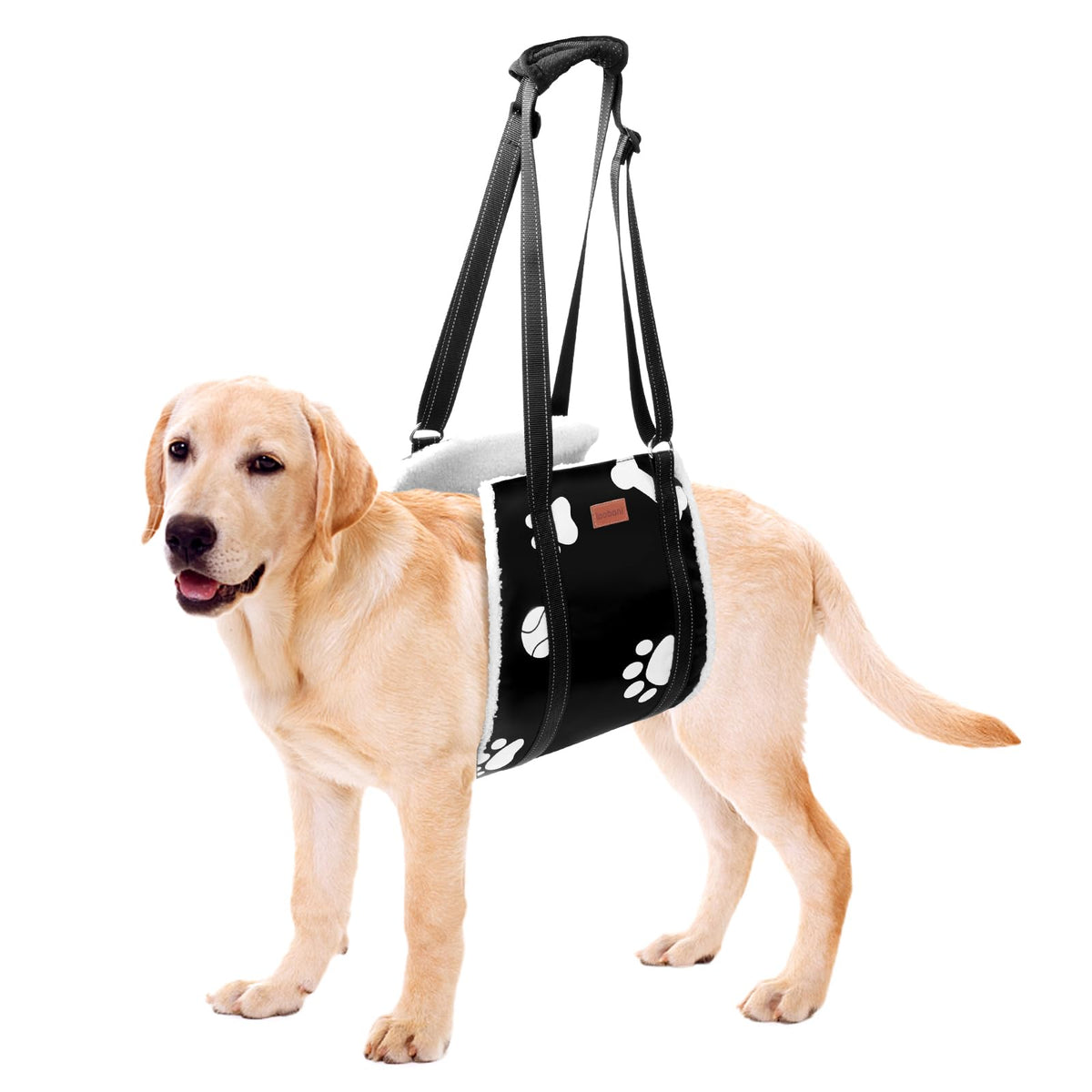 Loobani Dog Sling For Large Dogs Hind Leg Support, Portable Dog Lift Harness For Back Legs, Comfortable Leg Support Assistance F