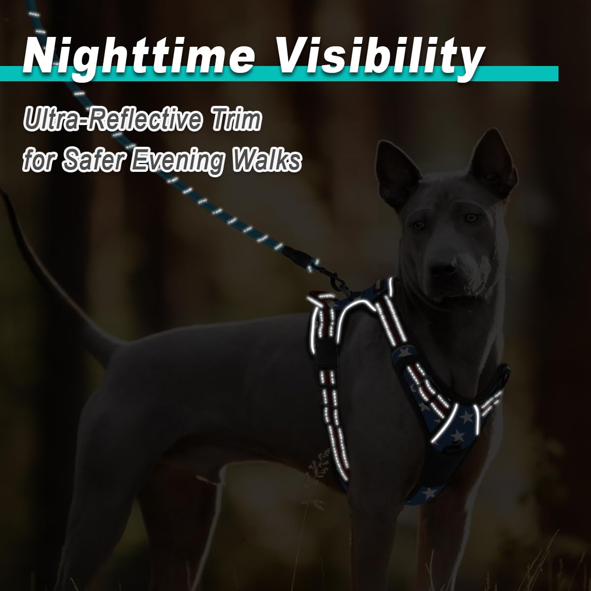 BARKBAY No Pull Dog Harness - Reflective, Step-In with Front Clip, Easy Control Handle, Small Size, Star Color