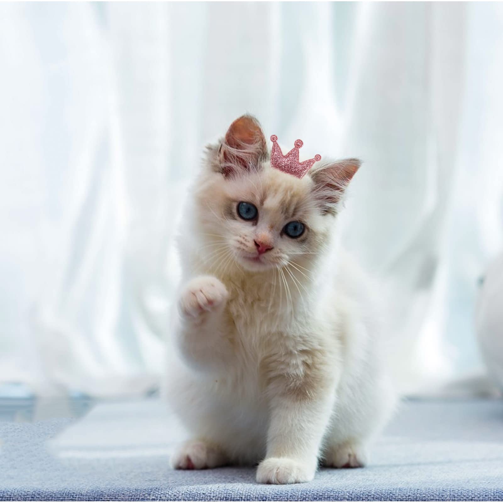 10 Pcs Dog Hair Clips Small Dog Hair Bows Cute Dog Hair Grooming Accessories Girls Puppies Hair Barrettes Flower Crown Hairpin Cat Topknot Pet Headdress Dog Grooming Bowknot For Kitten Pet Small Dog