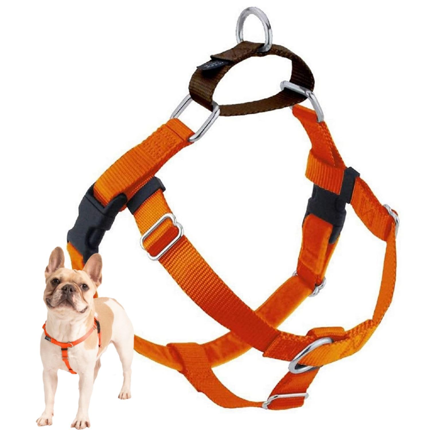 2 Hounds Design Freedom No Pull Dog Harness, Adjustable Harness, Easy Walking & Comfortable Control, Fits Small, Medium & Large 