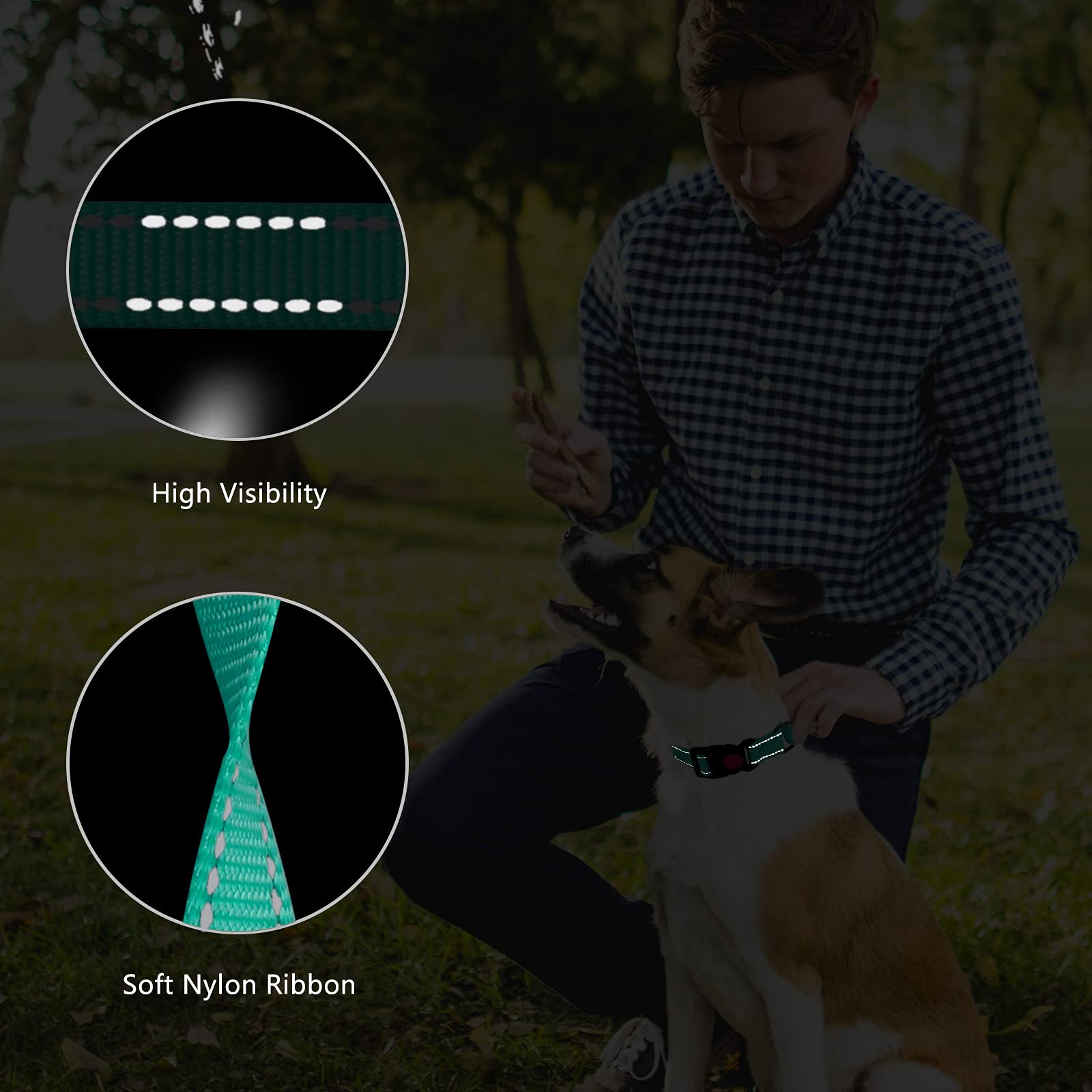 Martingale Dog Collar And Leash Set Martingale Collars For Dogs Reflective Martingale Collar For Small Medium Large Dogs(Mint Gr