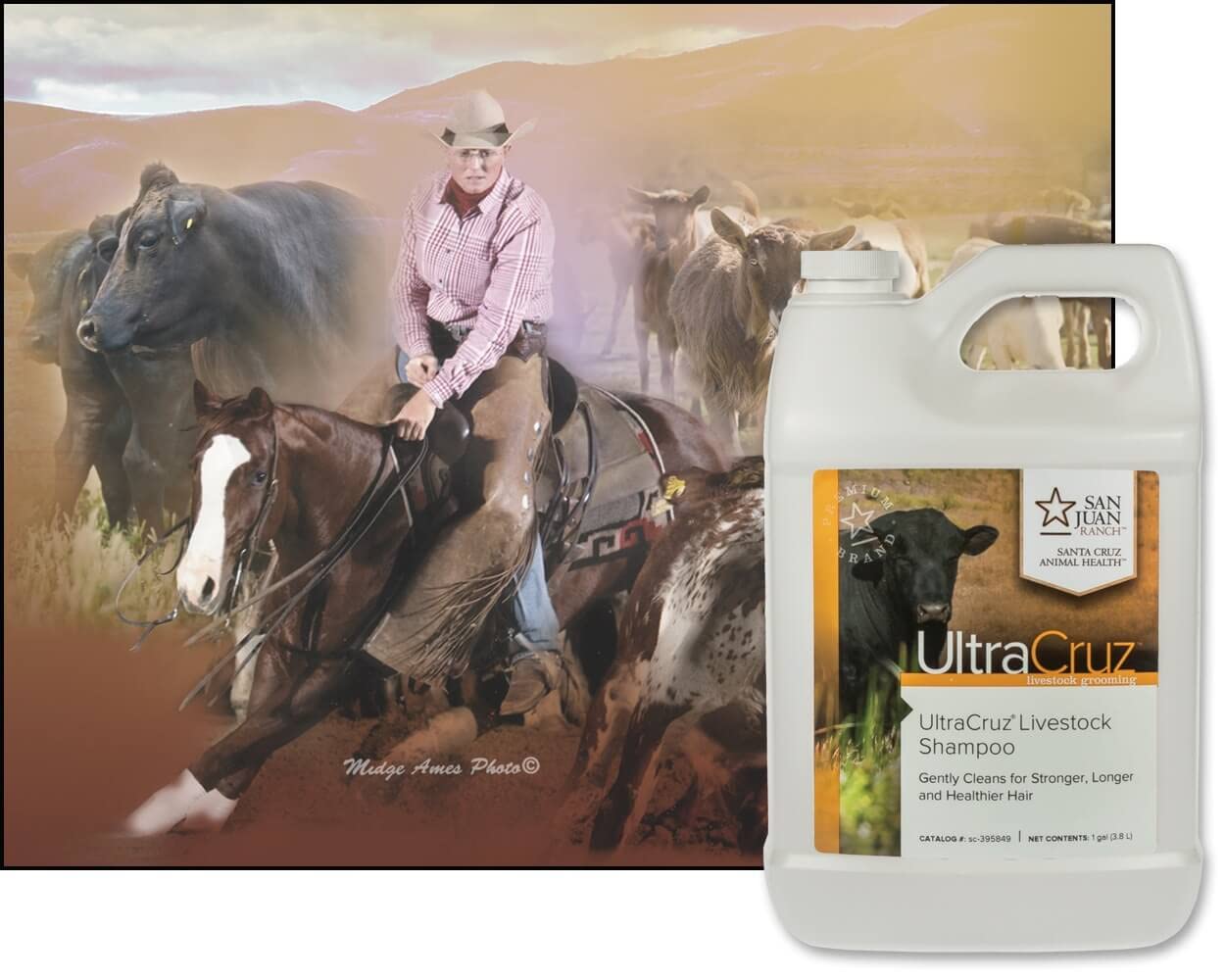 Ultracruz Livestock Shampoo, 1 Gallon